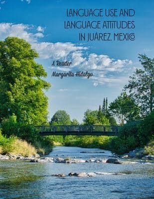 Language Use and Language Attitudes in Juárez, Mexico book cover